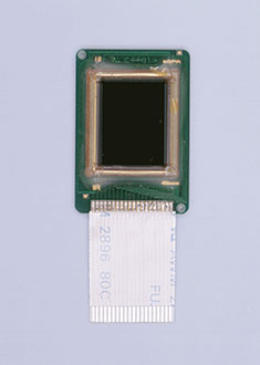 EVF Liquid Crystal Panel Module