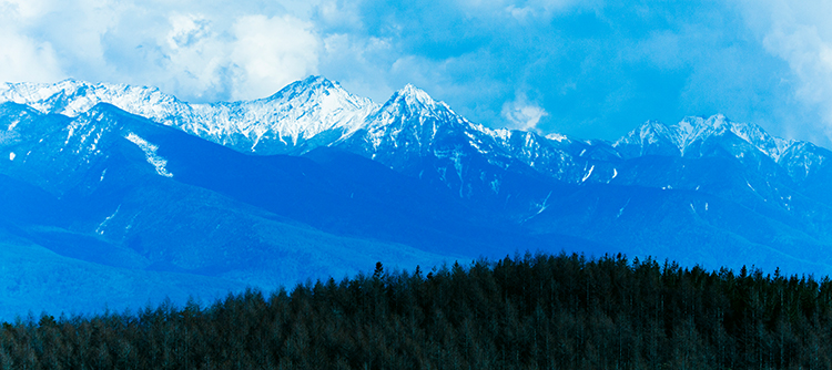 Technology and information have little value without humanity and creativity.