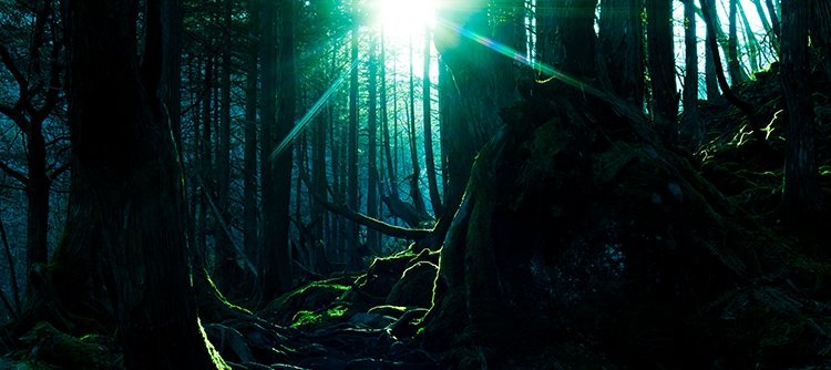 Technology exists to serve everyone, not a select few