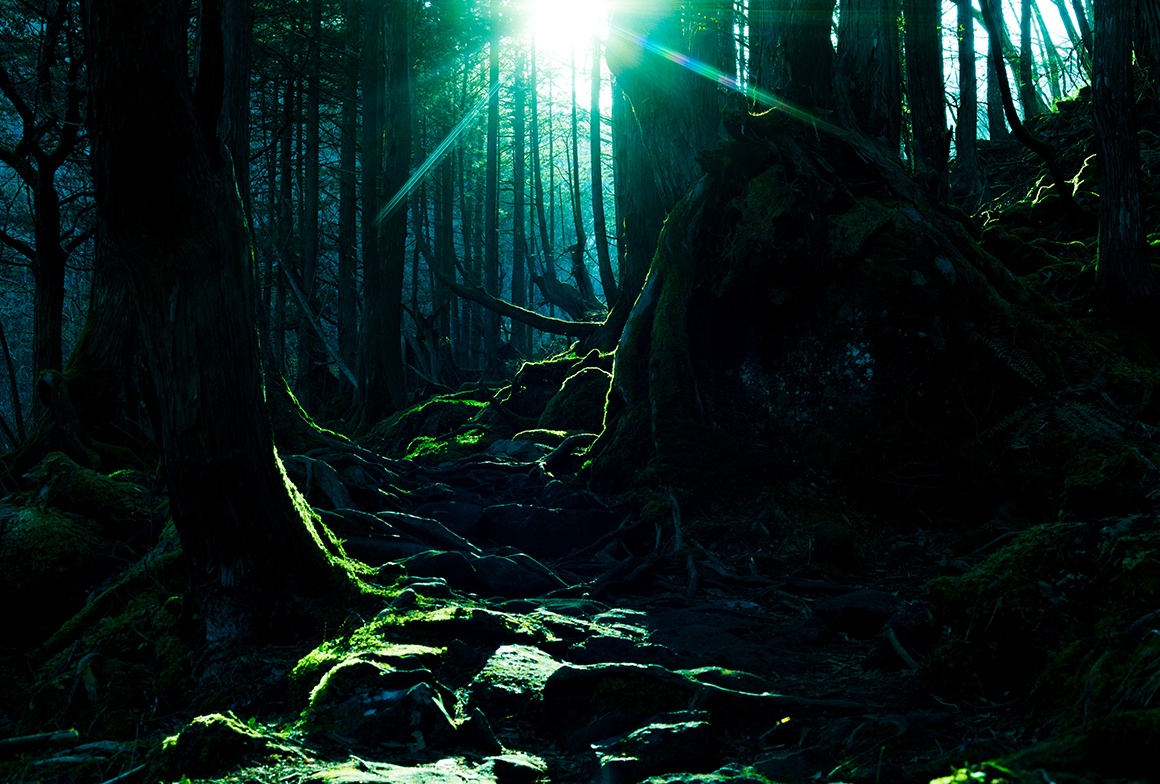 Technology exists to serve everyone, not a select few